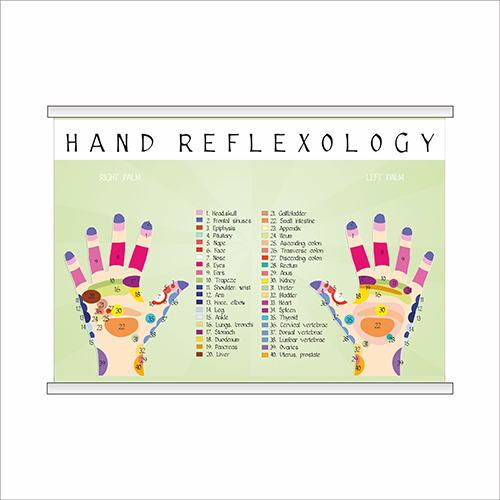 

Плакат Beauty Special “Hand reflexology” с планкой А0