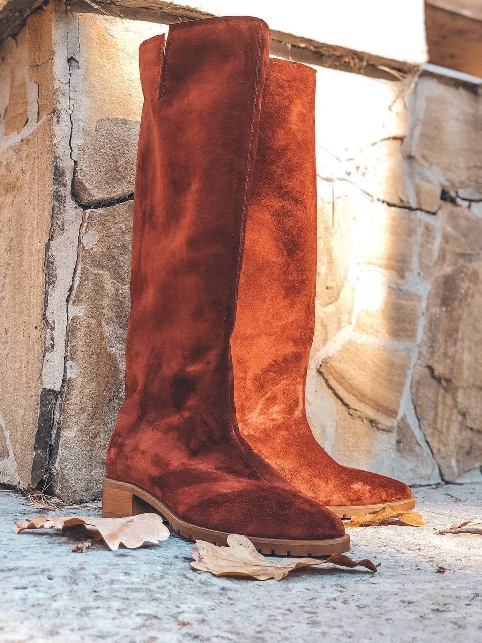 

Сапоги DIANAANIPKO D289 40 Коричневый