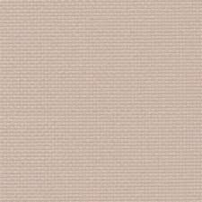 

Ткань Zweigart 3793/3021 110см