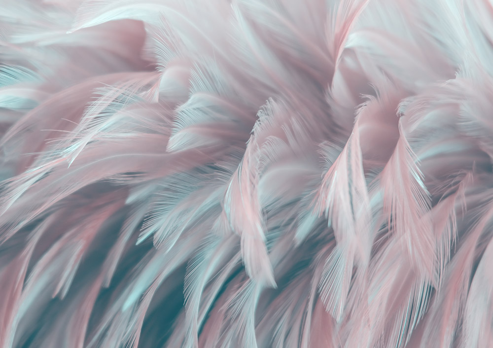 

Фотообои ArtSide Перья (1126439936) Иней