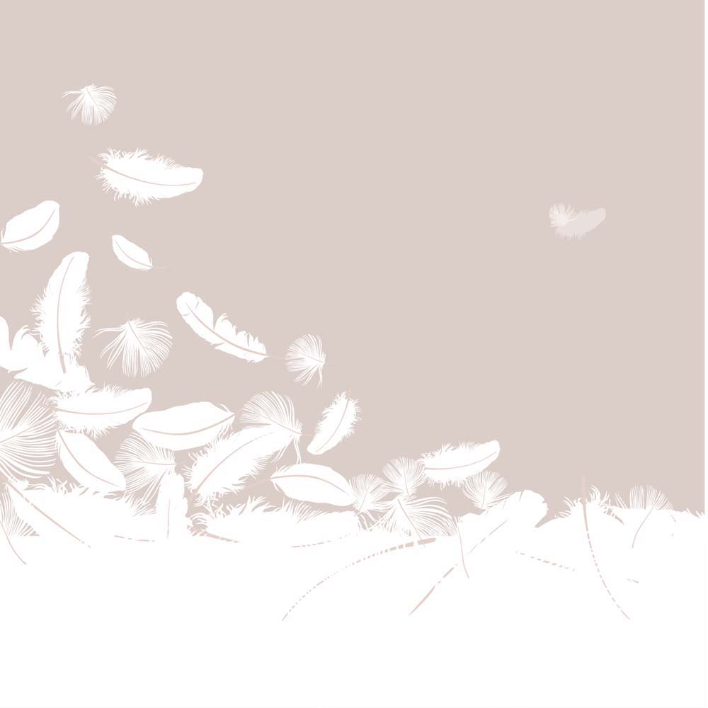 

Фотообои ArtSide Нежные перья (148165577) Вельвет