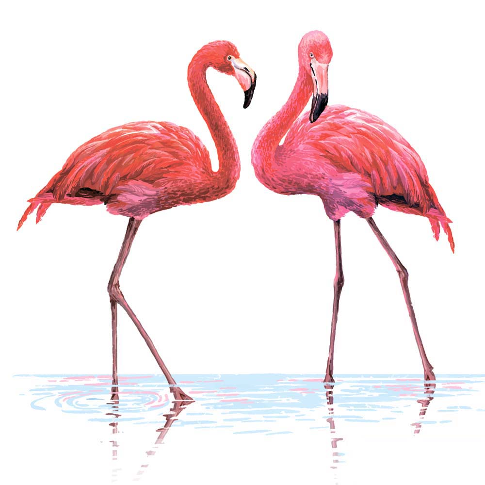 

Фотообои ArtSide Пара фламинго (96395799) Холст