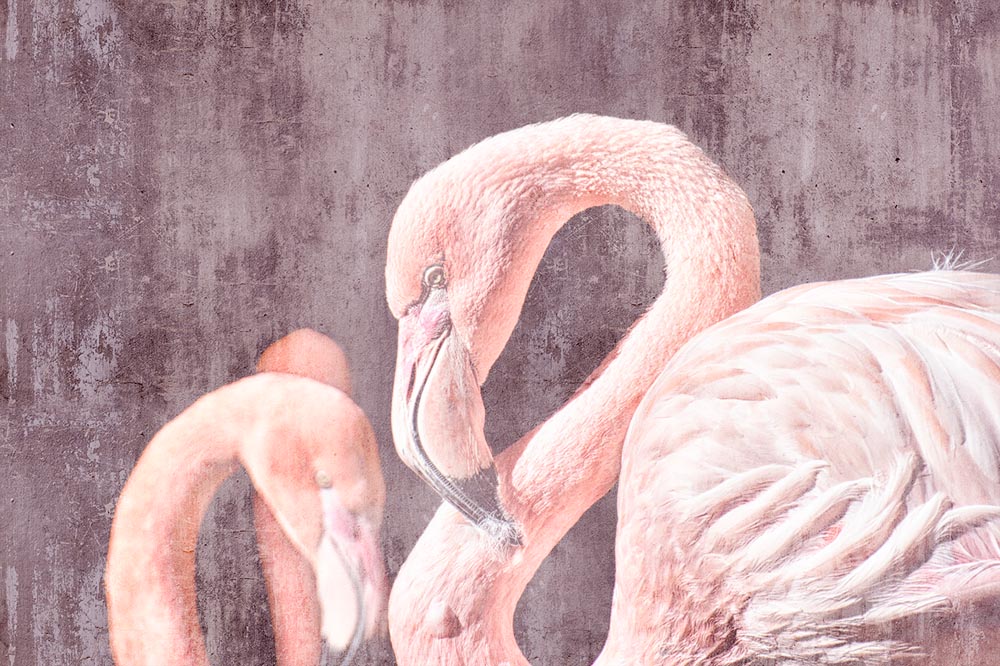 

Фотообои ArtSide Фламинго (71120182_2) Базальт