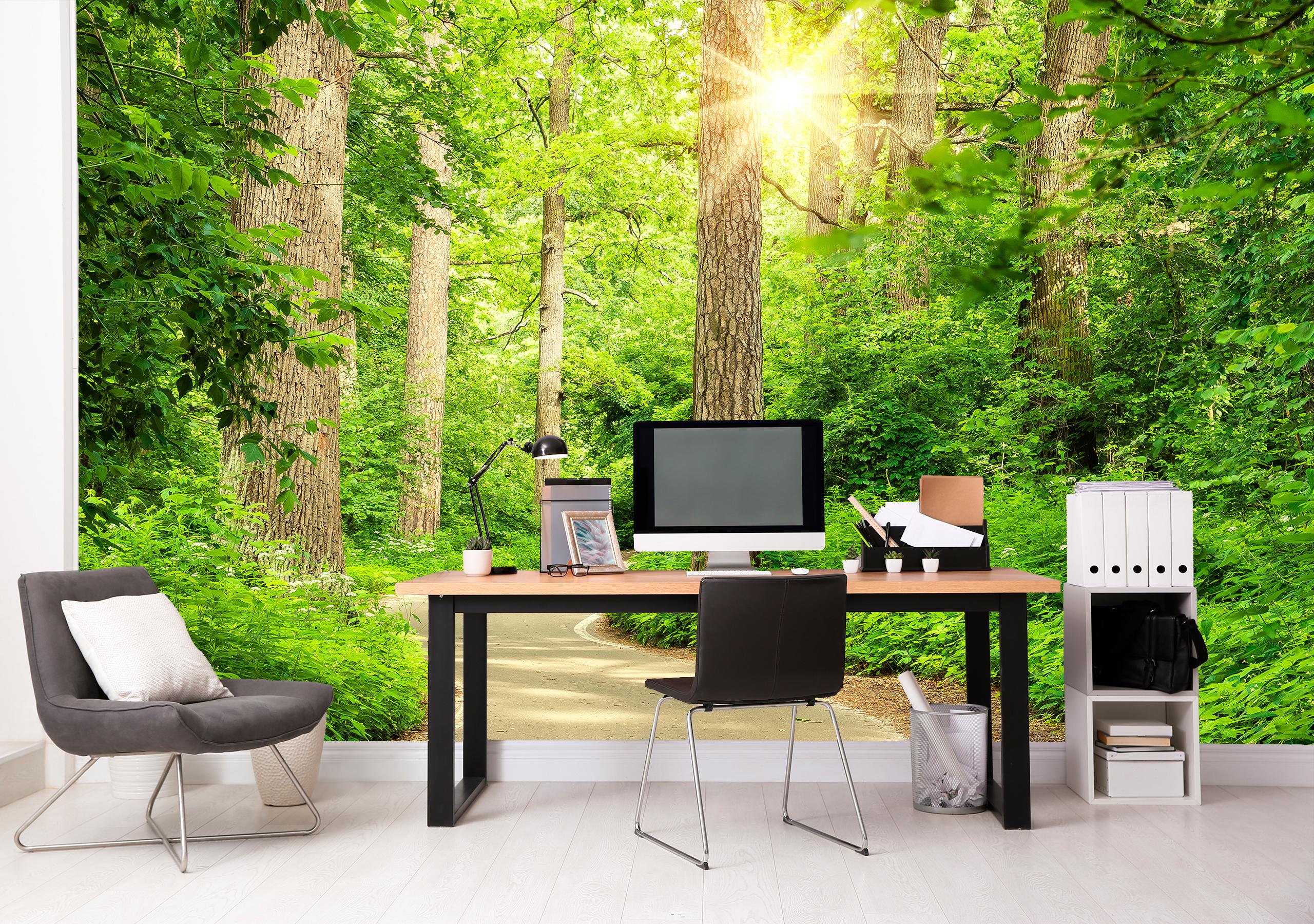 

Виниловые Фотообои Walldeco Дорога в лесу 380x250 Фреска