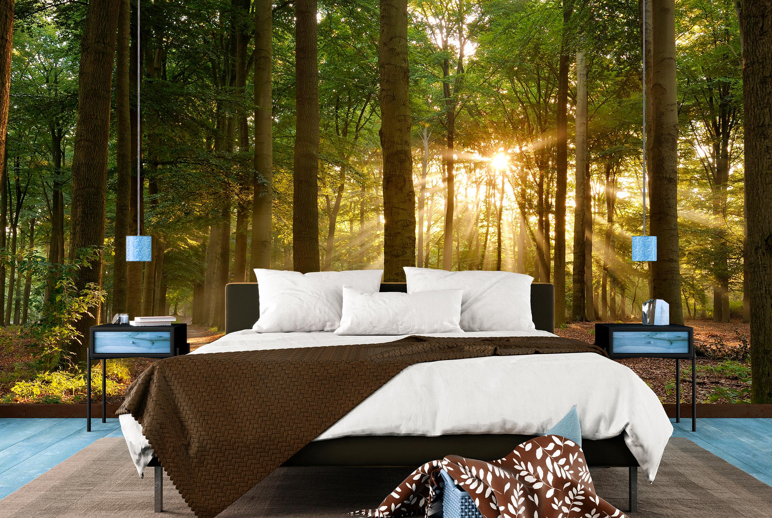 

Виниловые Фотообои Walldeco Утро в лесу 475x300 Диамант