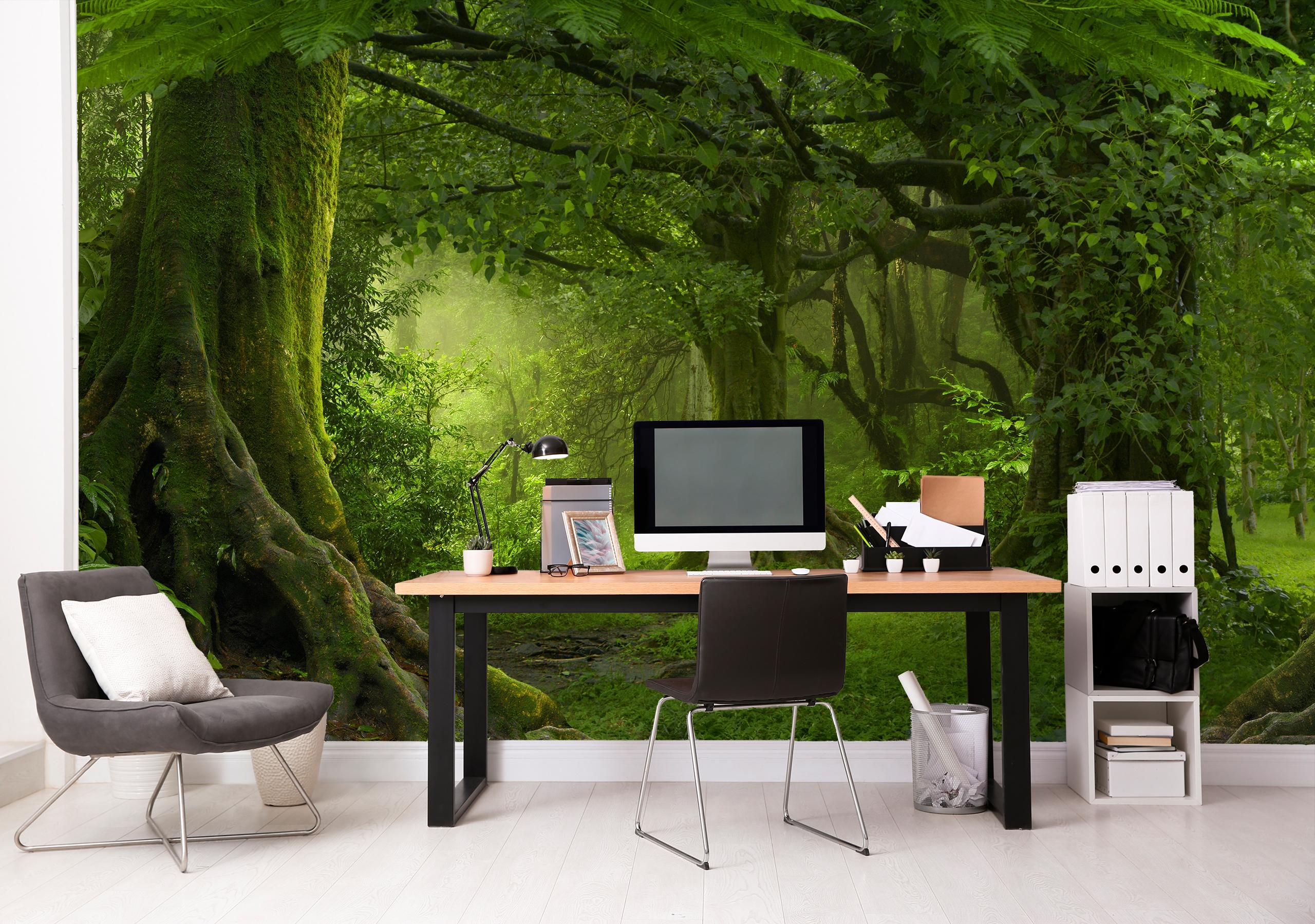 

Фотообои на самоклеющейся основе Walldeco Зелёный лес 285x190 Лоск