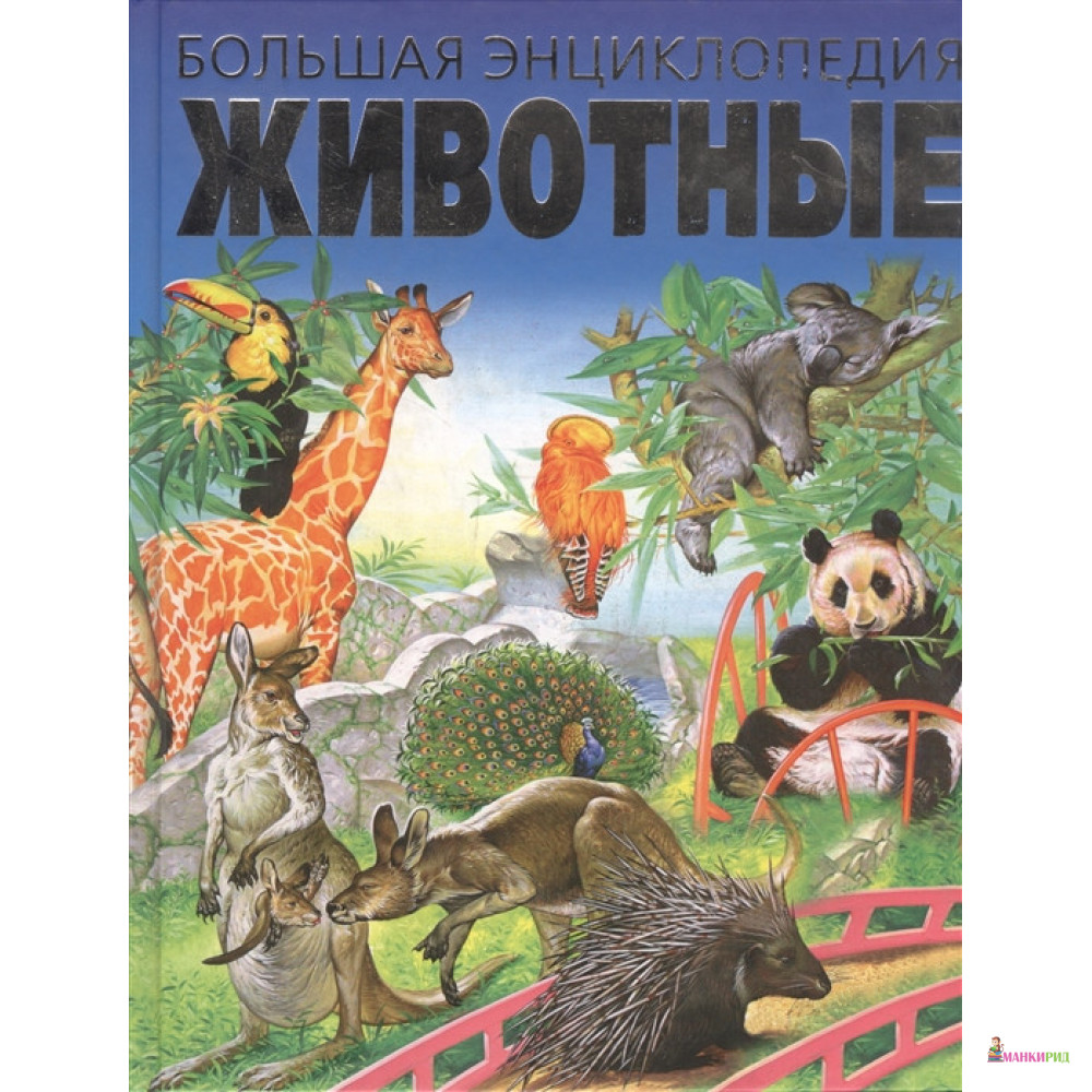 

Животные. Большая энциклопедия - Анна Тышко - Харвест - 772377