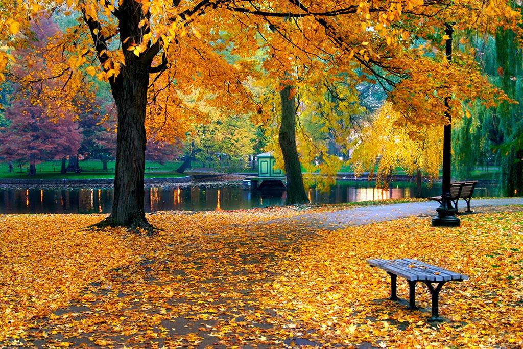 

Картина Арт-Холст Парк осенью №2552 (90x60см)