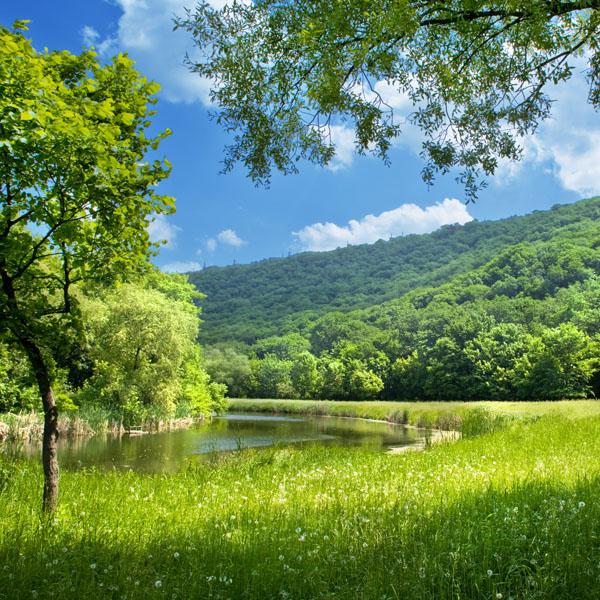 

Картина Арт-Холст Весна в горах №3645 (90x60см)