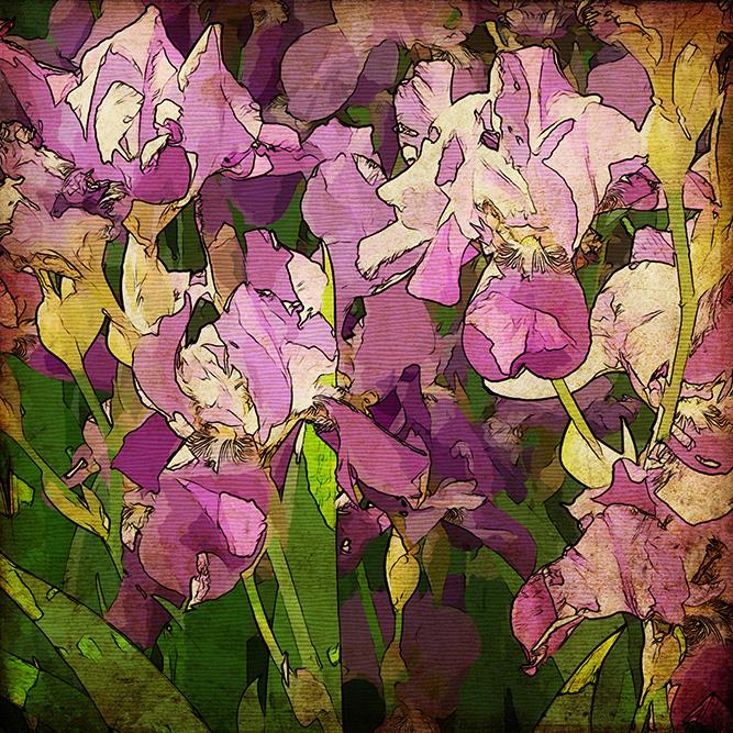 

Картина Арт-Холст Куст ириса №2185 (50x70см)