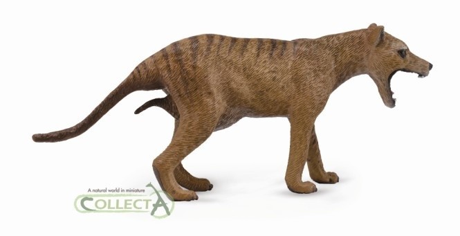 

Игровая колекцыонная фигурка Сollecta Волк Тасманский самка 004-88767 L