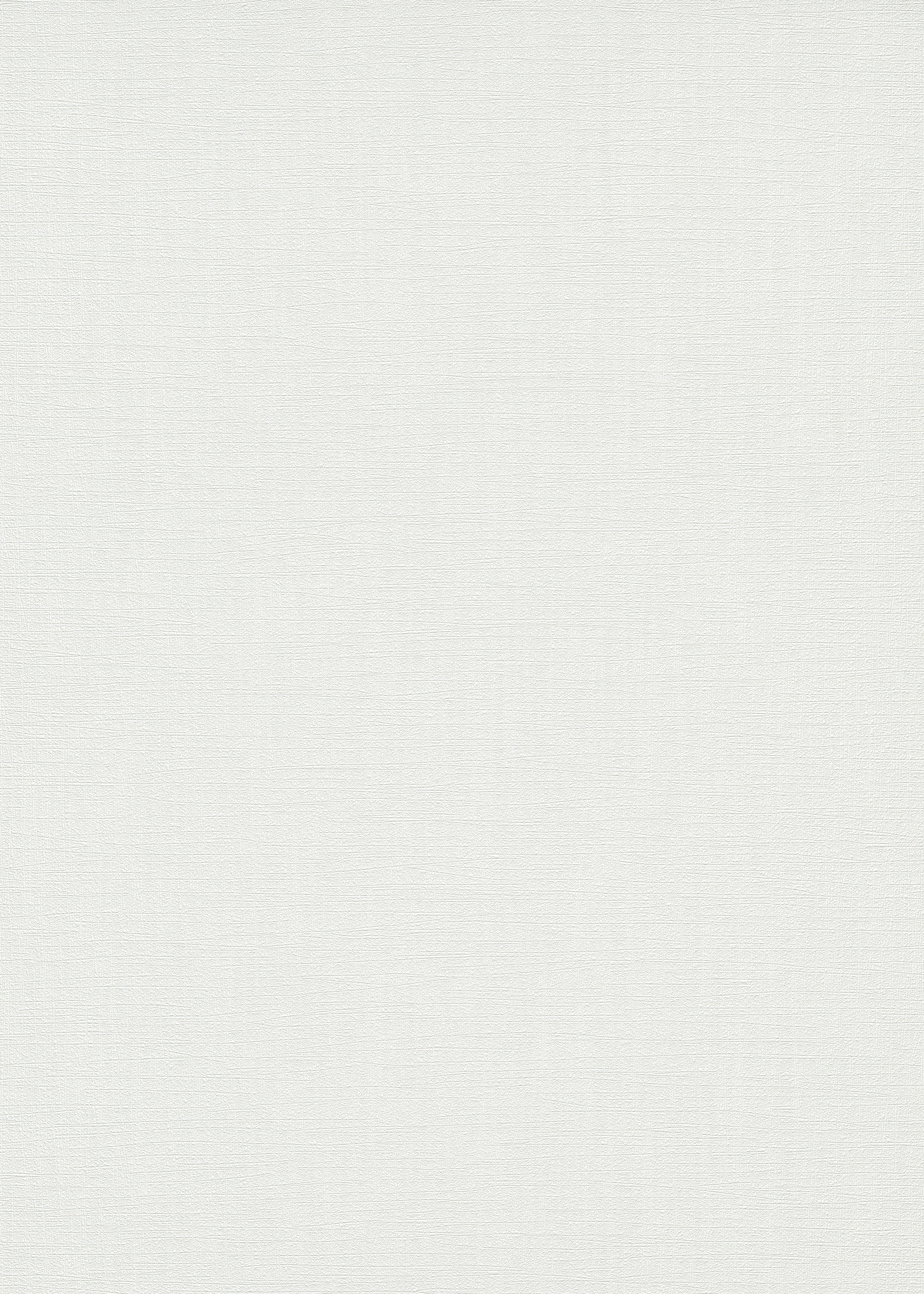 

Виниловые обои ERISMANN Sportlight 12073-01