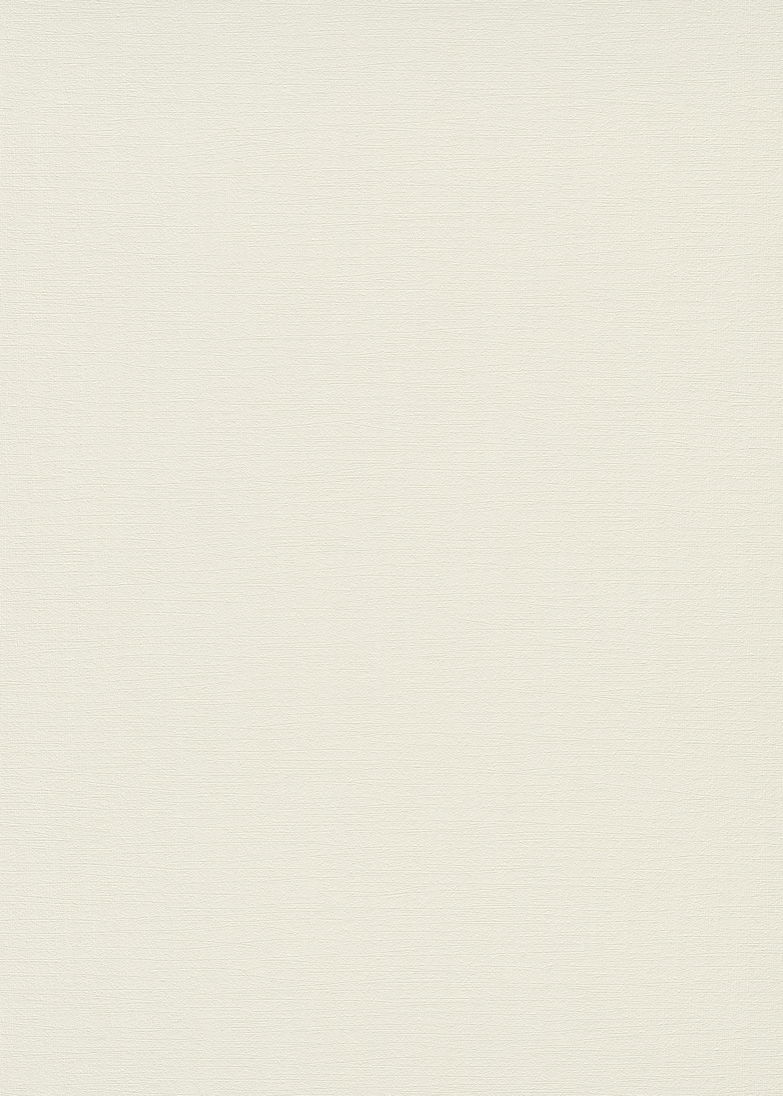 

Виниловые обои ERISMANN Sportlight 12073-14