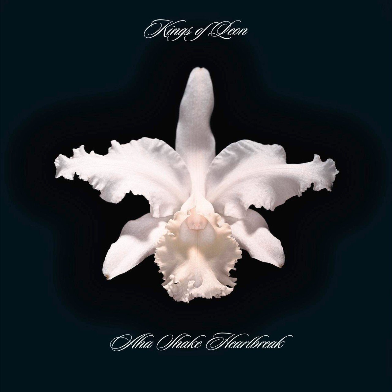

Виниловая пластинка KINGS OF LEON AHA SHAKE HEARTBREAK (EAN 0889854217716)