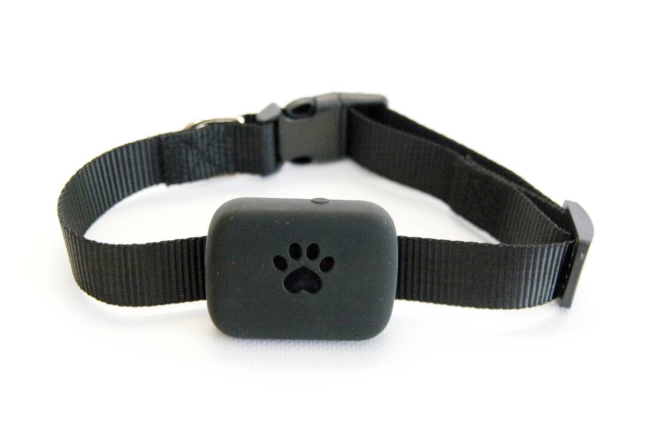 

GPS трекер для животных Smartix А21 (+ чехол с ошейником), gps tracker A21