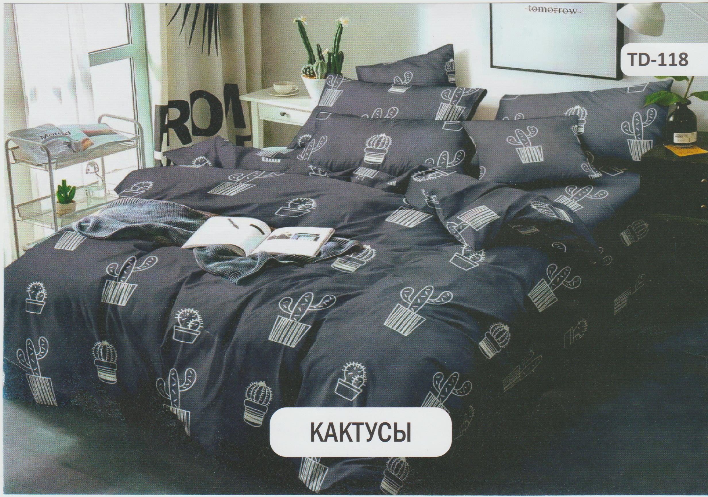 

Постельное белье комплект из Бязи "Кактусы". Размер Семейный, простынь на Резинке, для Евро подушки (TIR_2244-247 S/R-EP)