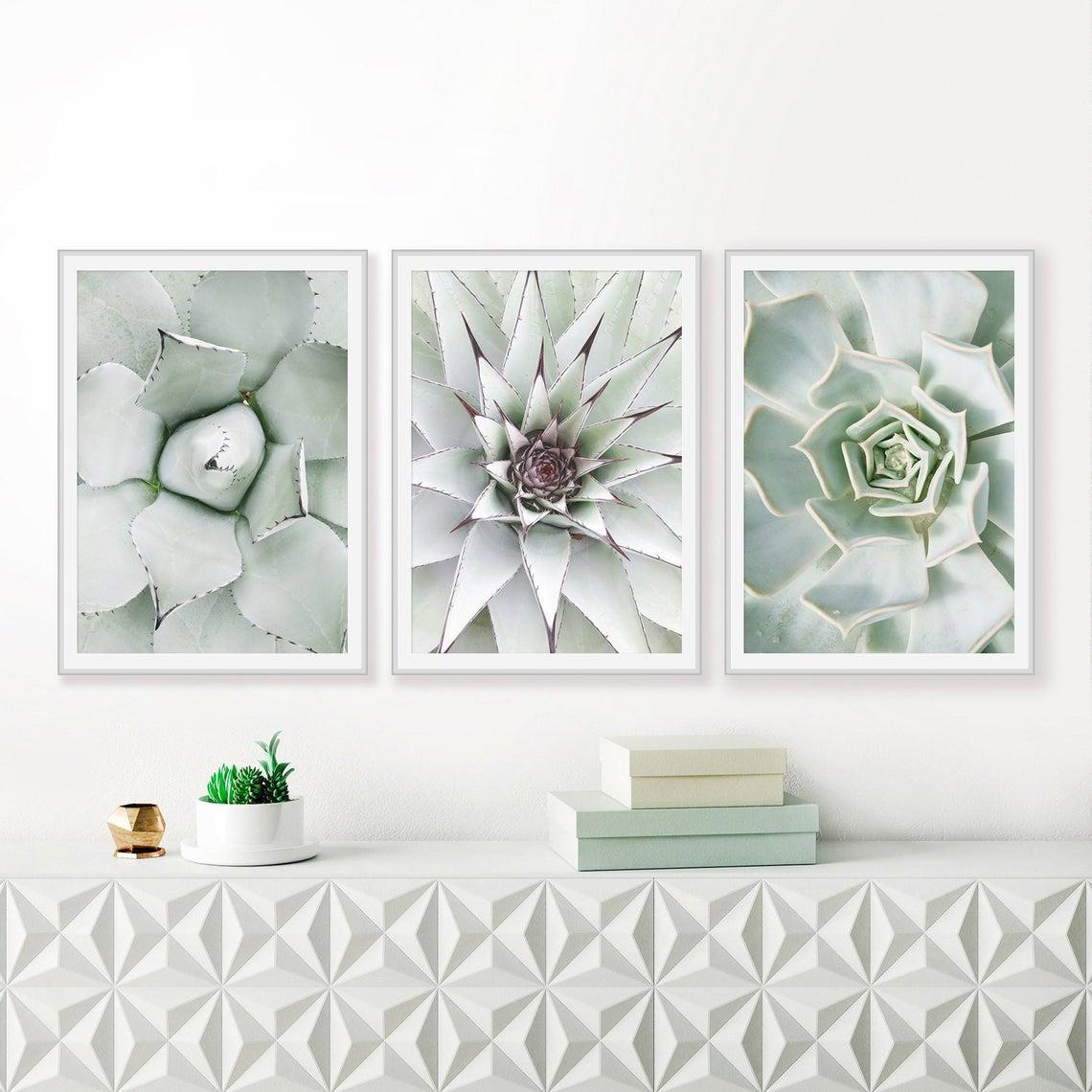 

Набор постеров Succulent Print формата А3 NEHILO