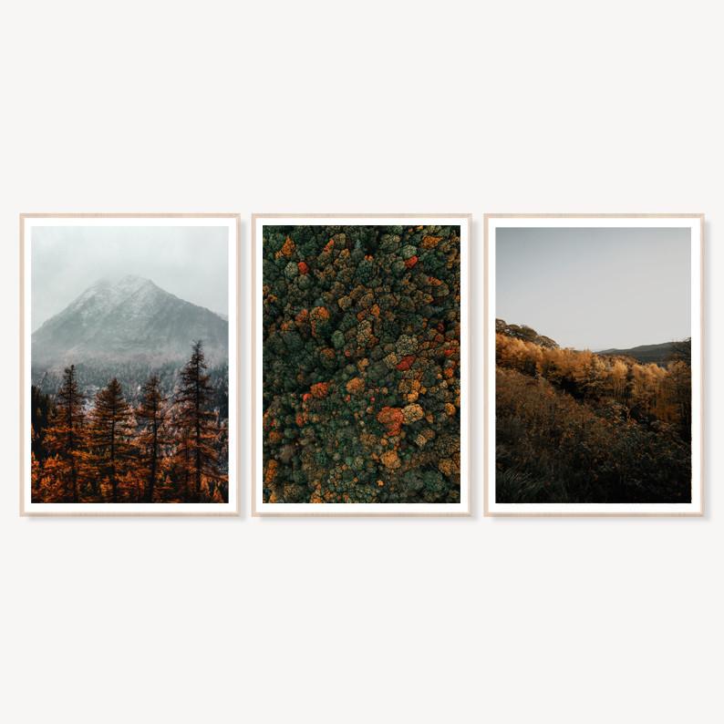 

Набор постеров на стену Autumn colors формат А3 NEHILO