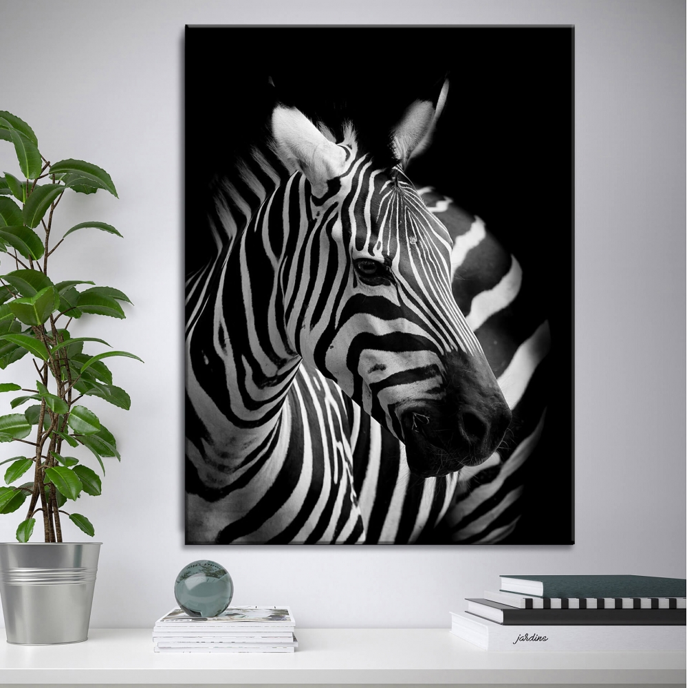 

Картина на холсте Животные White Zebra 50х65 см.