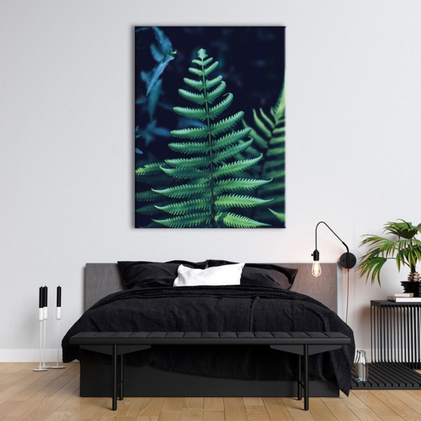 

Картина на холсте Природа Bracken Fern 50х65 см.