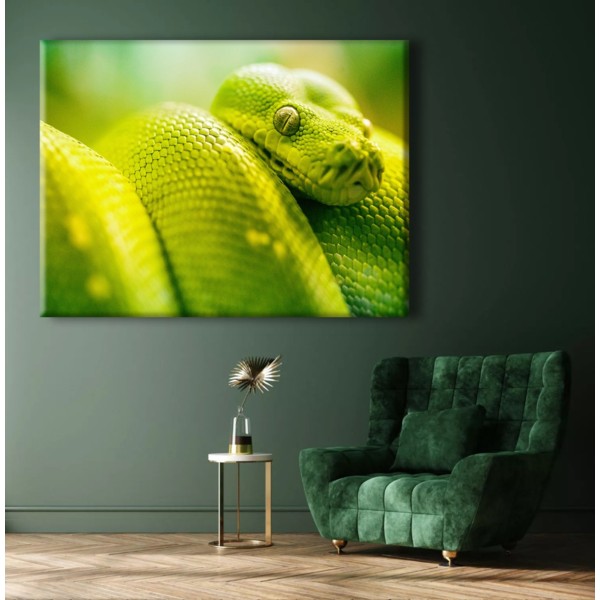 

Картина на холсте Животные Green Snake 75х100 см.