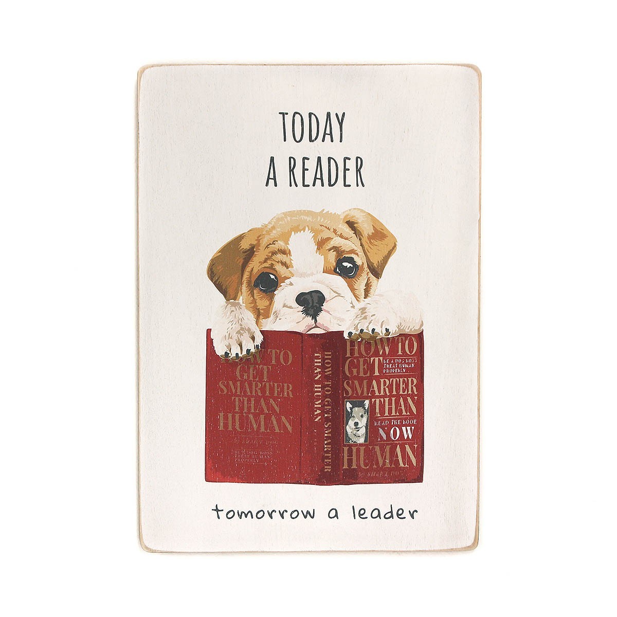 

Деревянный постер Wood Posters "Today a reader, tomorrow a leader" (A2 формат, фанера)