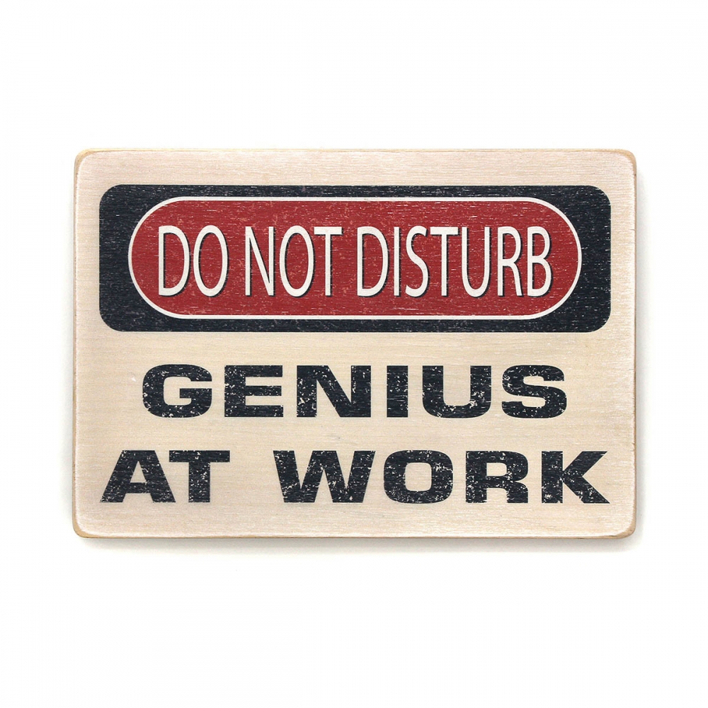 

Деревянный постер Юмор и цитаты Do not disturb. Genius at work А1