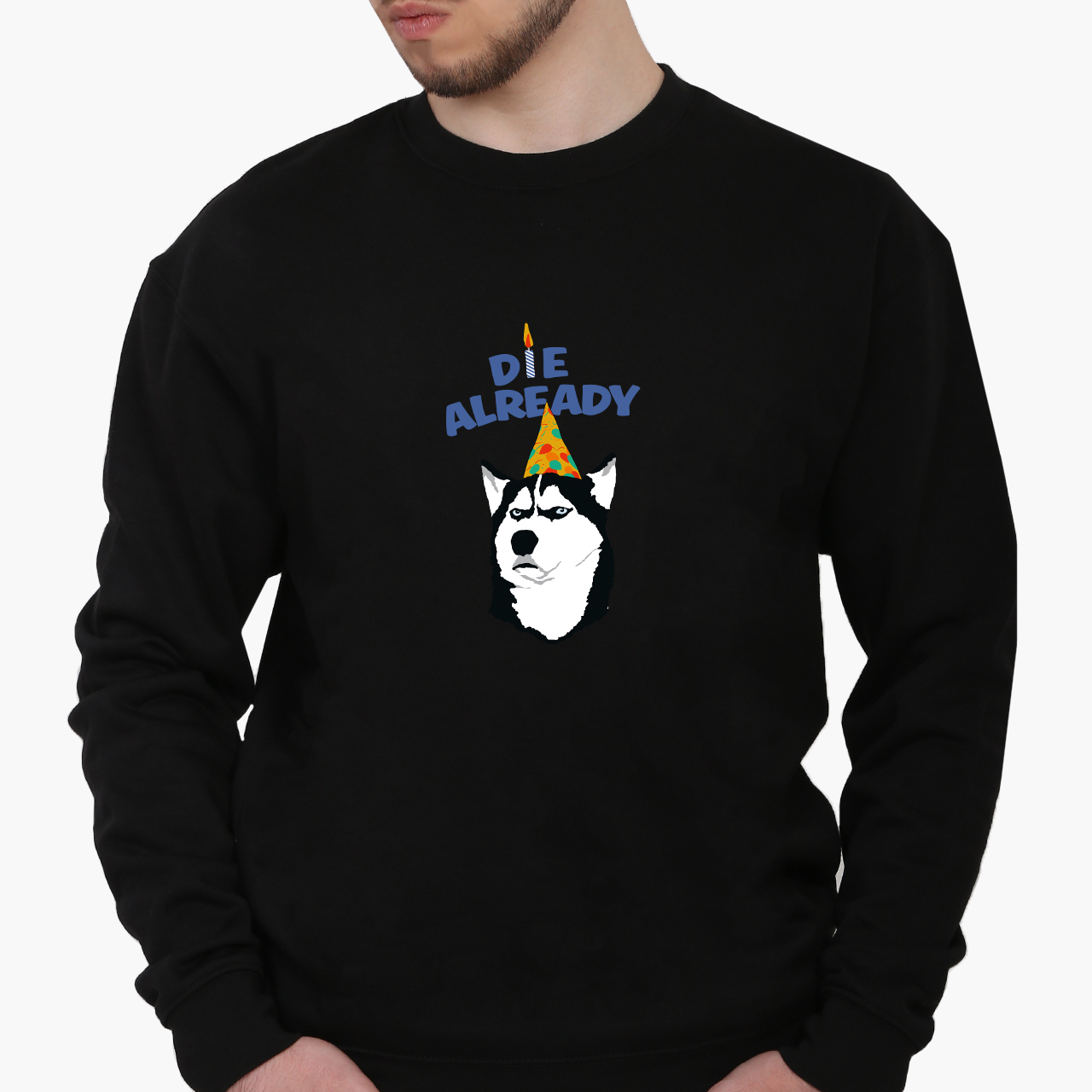 

Свитшот мужской С днем рождения (Happy Birthday) (8771-2075) Черный, Свитшот мужской С днем рождения (Happy Birthday) (8771-2075) Черный M