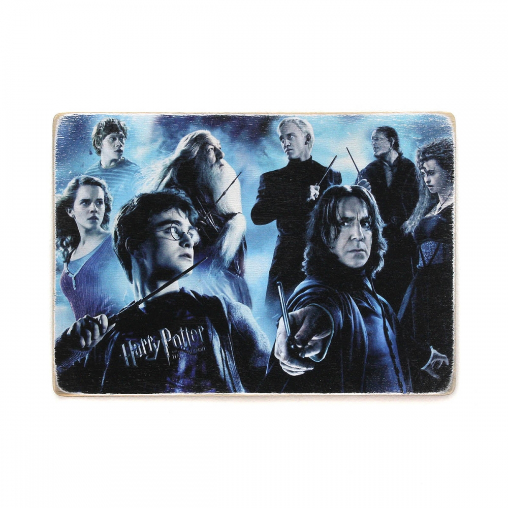 

Деревянный постер Фильмы и сериалы Harry Potter. Гарри Поттер. Все герои А2