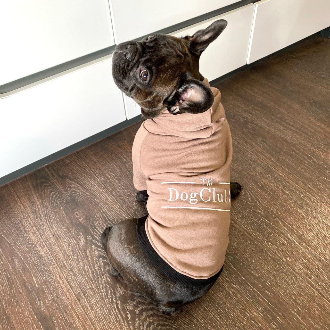 

Худи для собак DogClub Brand XL Brown