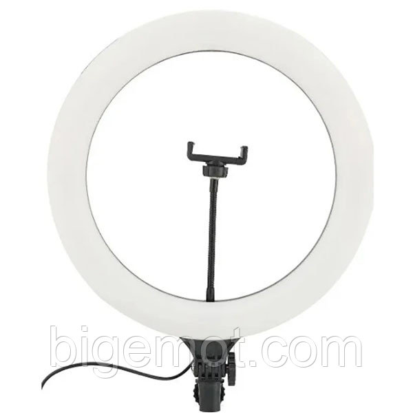 

Кольцевая LED лампа А390 39см со штативом и пультом для фото и видео сьемки sale