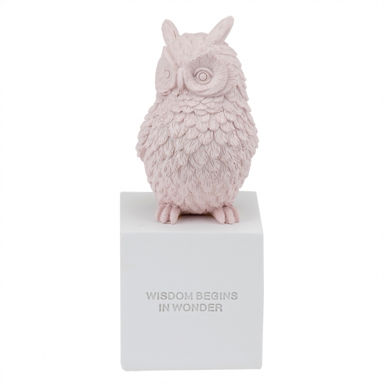 

Статуэтка Owl 30 см, розовая (8924-012)Elso