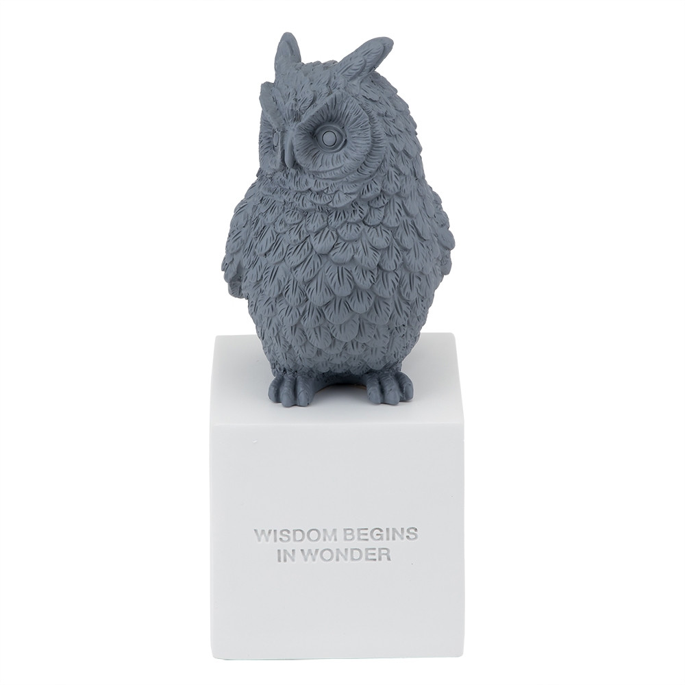

Статуэтка BonaDi Owl 10х10х25 см серая (8924-010)