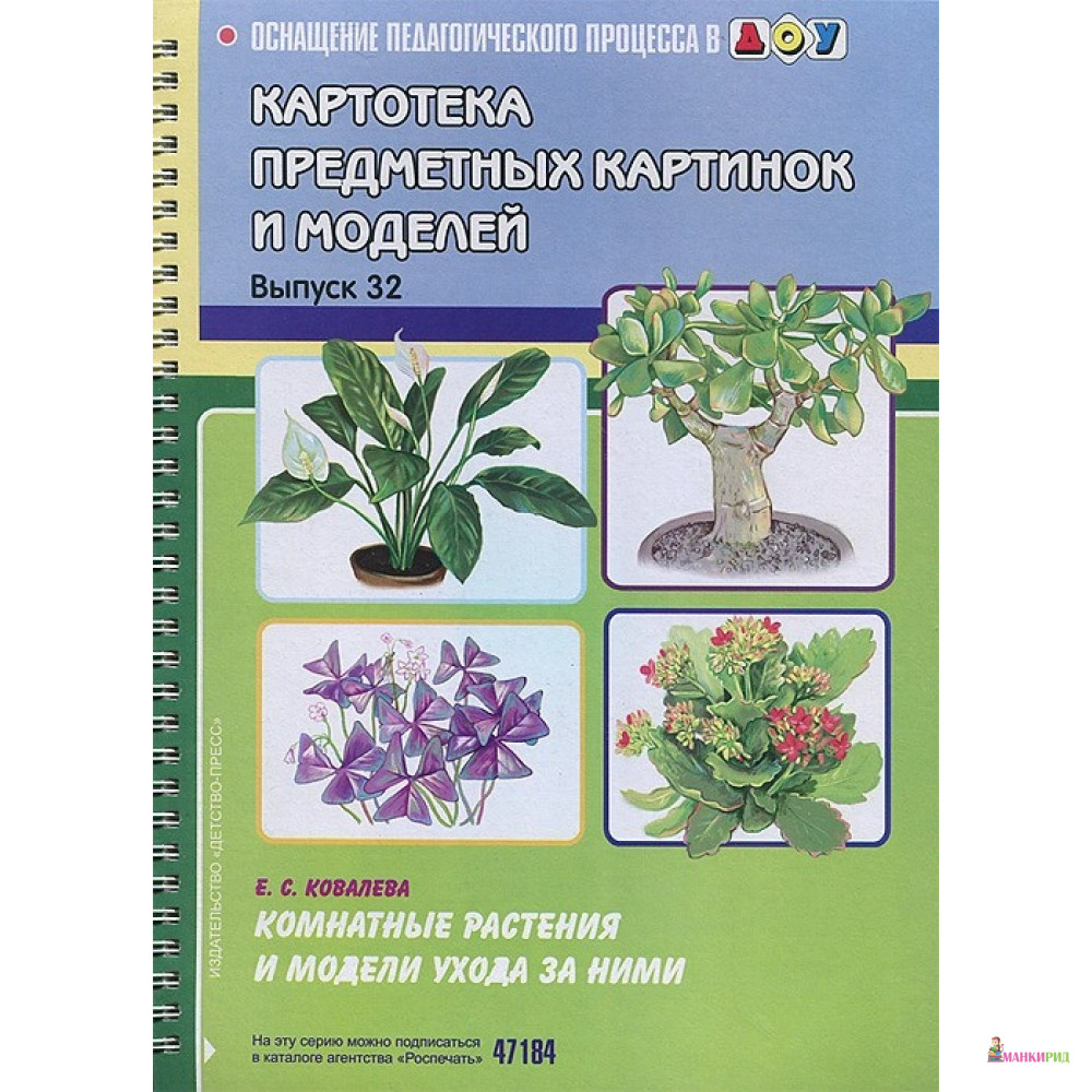 

Комнатные растения и модели ухода за ними - Елена Семеновна Ковалева - Детство-Пресс - 341505