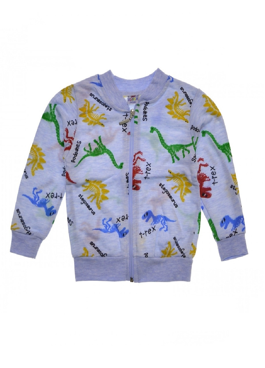 

Кофта Payes на мальчика двунитка с принтом Динозавры - (RL-29-02, Кофта Payes на мальчика двунитка с принтом Динозавры 110-116 (RL-29-02)