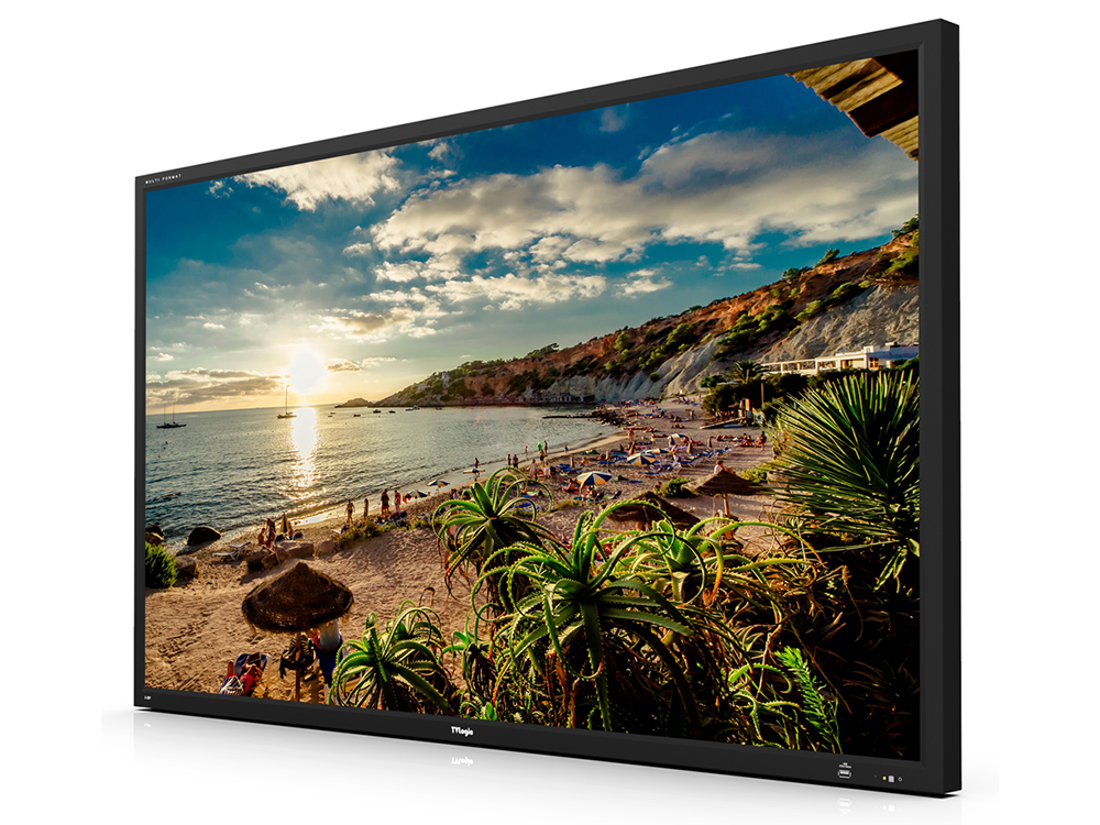 

Монитор Tvlogic S-55P