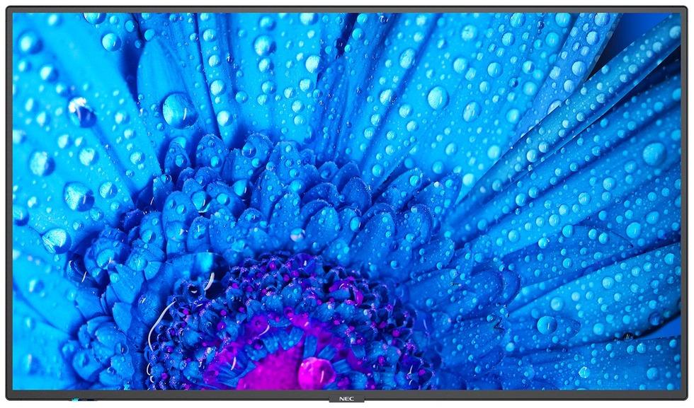 

Монитор Nec MultiSync M651