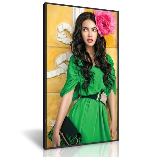 

Монитор Dynascan Ds861Lr4 2.17 M 85.6 Lcd 3840 X 2160 Pixels 3500 Cd/M² 4K Ultra Hd 8 Ms