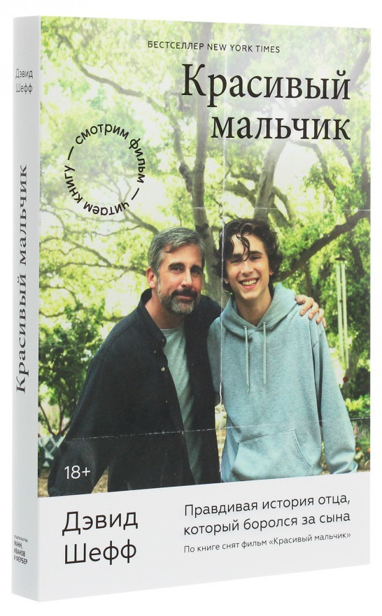 

Книга «Красивый мальчик. Правдивая история отца, который боролся за сына». Автор - Дэвид Шефф