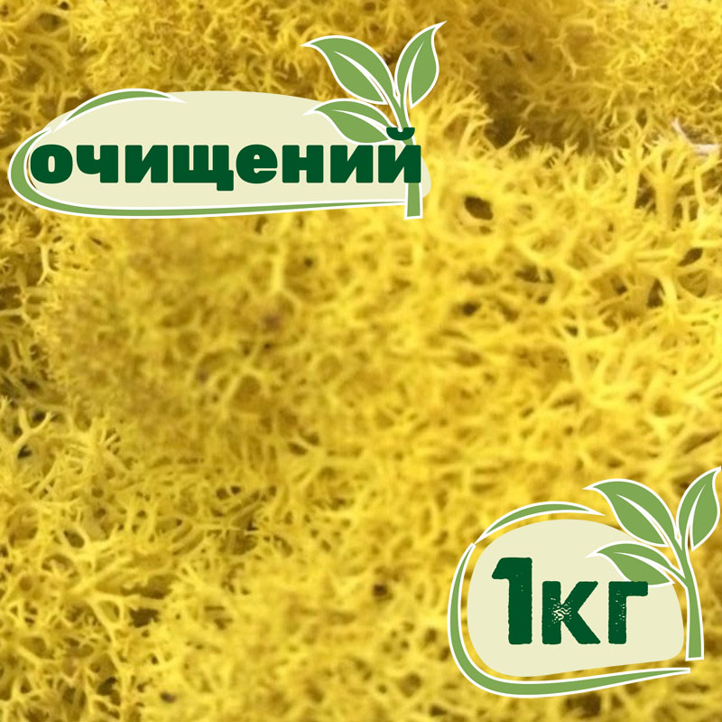 

Очищенный стабилизированный мох ягель Nordic moss Желтый классический 1 кг