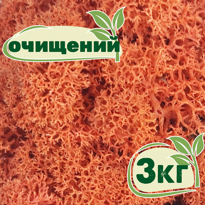 

Очищенный стабилизированный мох ягель Nordic moss Сиена 3 кг