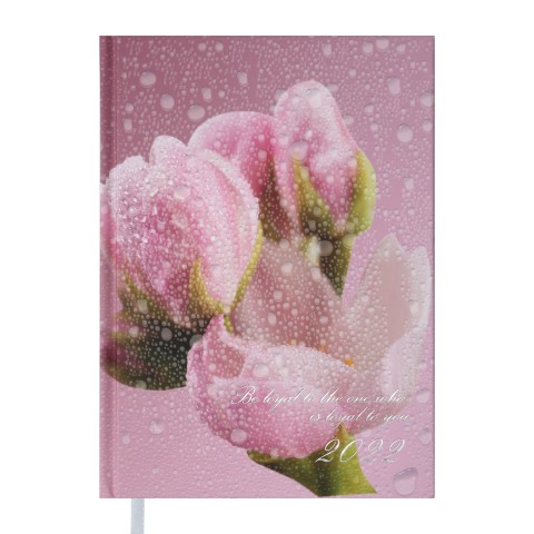 

Ежедневник датированный Buromax POSH A5 на 336 страниц розовый (BM.2118-10)