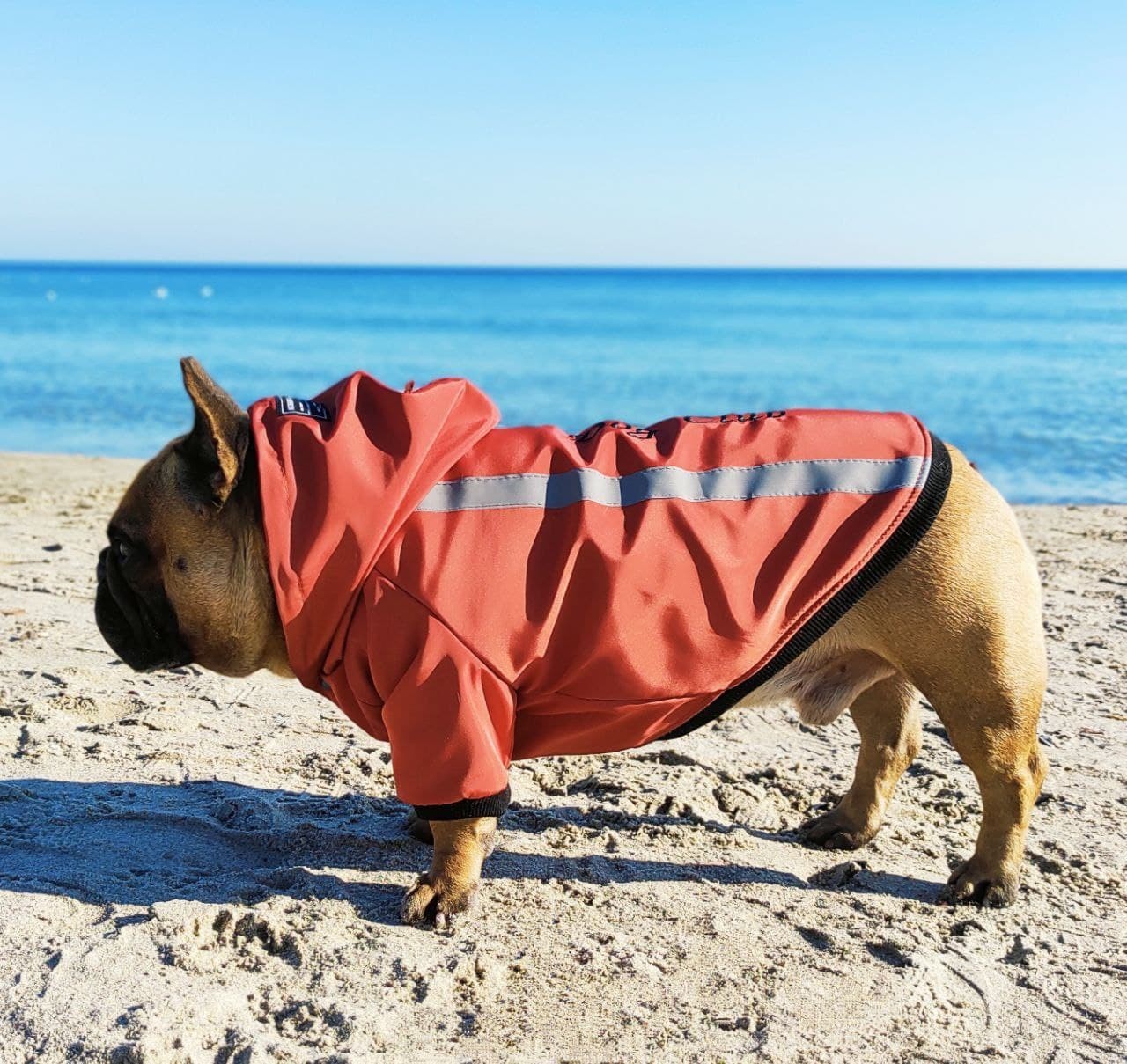 

Куртка для собак DogClub Sunny L Terracotta
