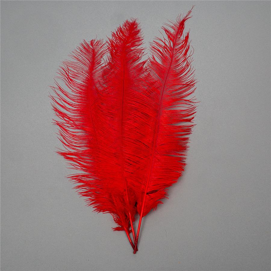 

Набор из 5 единиц. Страусиное перо 55 см красный (8501-001/red), Elisey