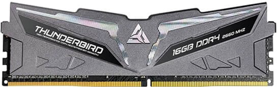 

Оперативная память Arktek DDR4-2666 16384MB PC4-21300 (AKD4S16P2666H)
