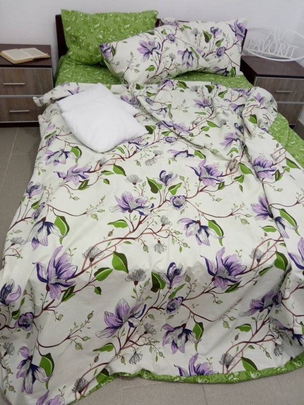 

Комплект постельного белья AV-favorit Бязь Люкс 2*(150*220) Весенний (b-04121R)