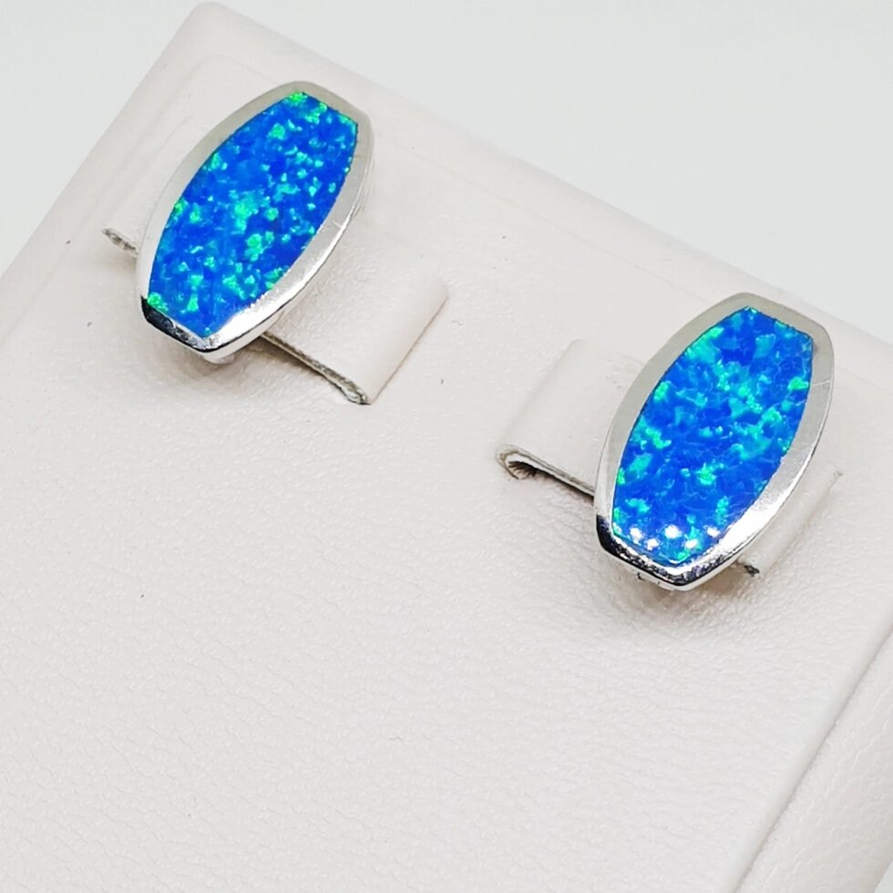 

Сережки серебряные с голубым опалом 4,19 г