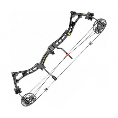 

Лук Poe Lang Axis 30-70 LBS Black (C0-039B)