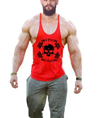 

Майка мужская для тренировок No Pain No Gain красная, Майка мужская для тренировок No Pain No Gain красная 2XL