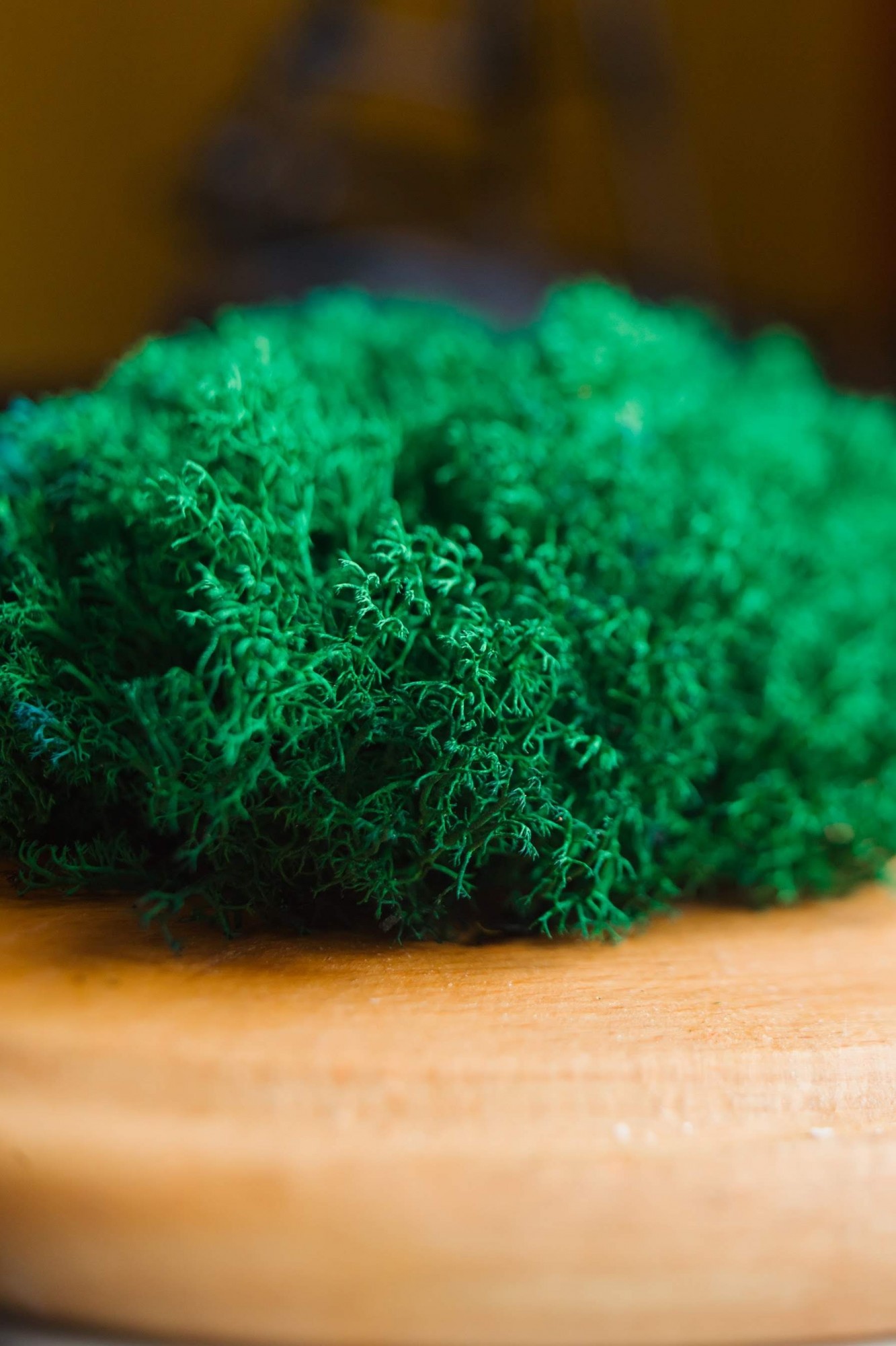 

Стабилизированный мох Green Ecco Moss Ягель Украинский Изумрудный 1 кг